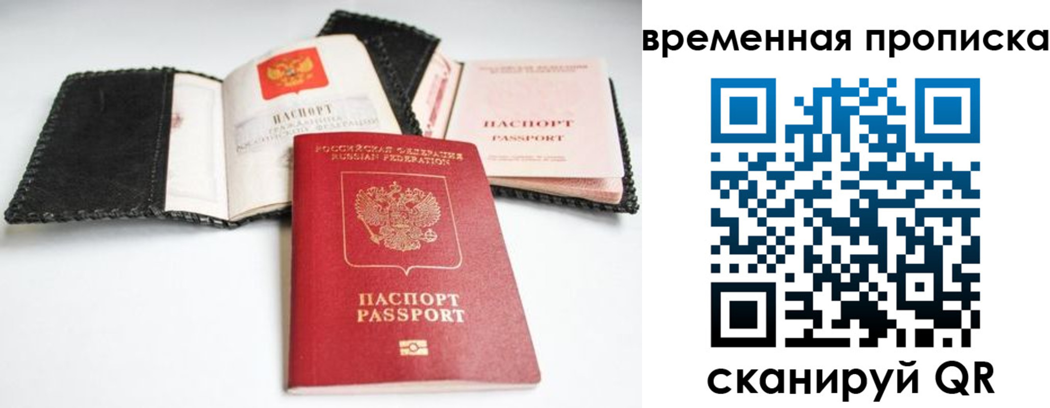 прописка для школы в Смоленской области